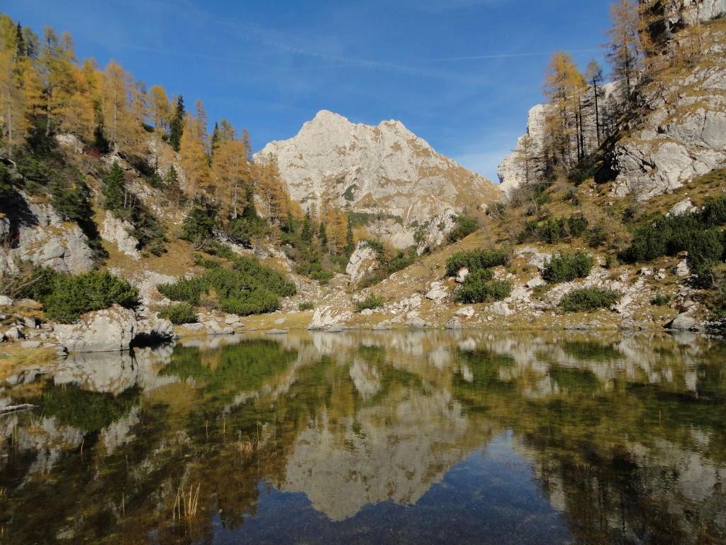 fairy_nuf's tweet photo. #Mišelj konec
in začetek,
kjer povrne se odmev.
V tihožitju dihjemaje
#Vernar vabi v svoj odsev. https://t.co/XpT1ZogWb6