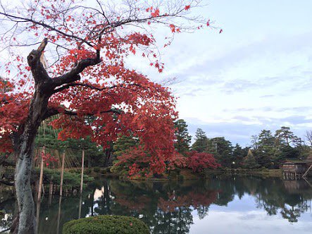 readjam_english's tweet photo. Japanese garden looks nice, doesn't it? Are you interested in this place? https://t.co/Qumkbyoarh