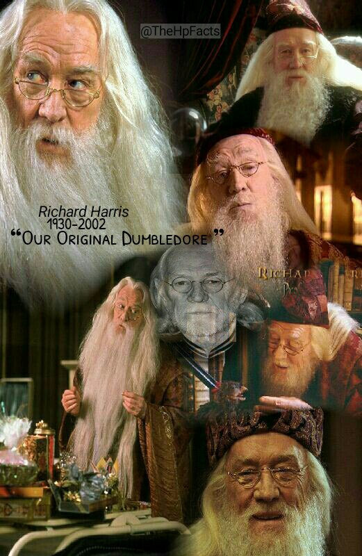 Original dumbledore outlet
