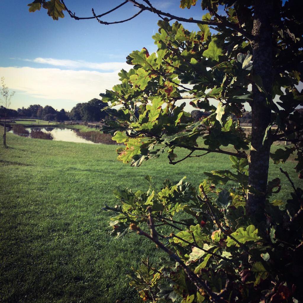 Karen Lloyd (she/her) tweet media