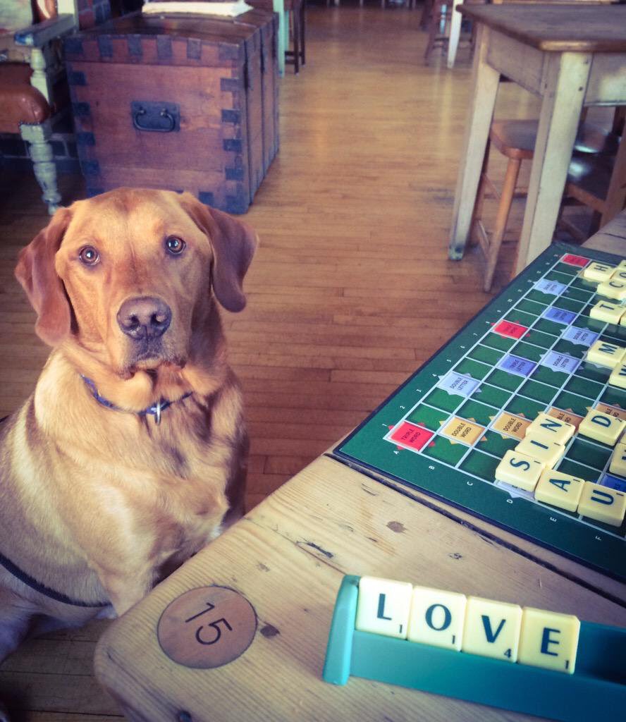 Karen Lloyd (she/her) tweet media