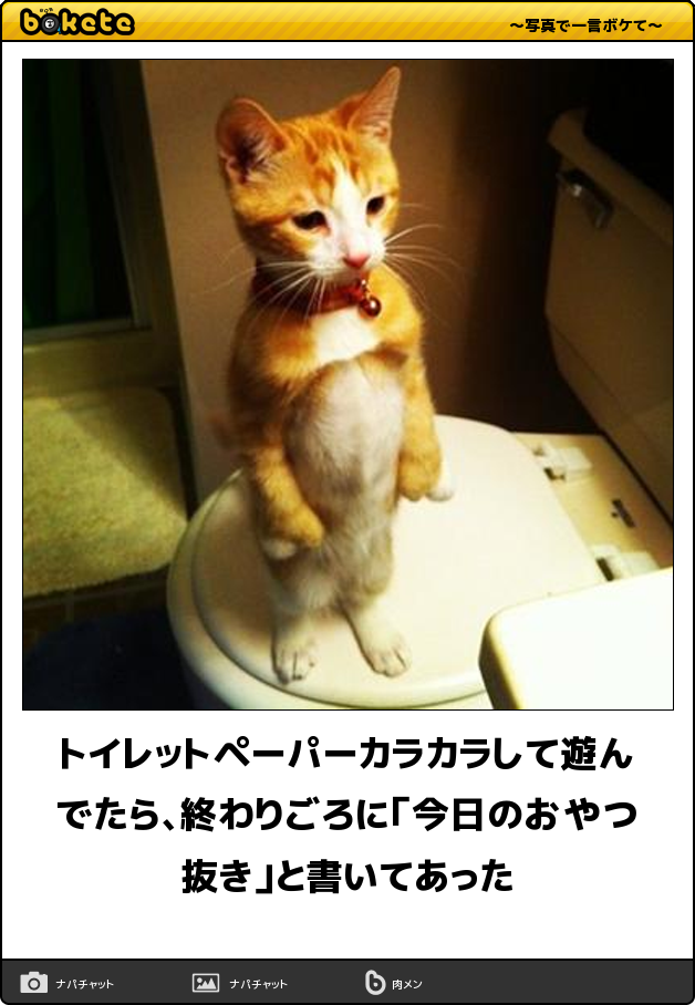 ごる猫 S っ Fwf っ 肉球丸出し 足用ホットカーペット に忍び込んだ可愛すぎる侵入者 T Co Ej0ujeozhx２秒で笑う 寒さもふっ飛ばしちゃう猫の爆笑ボケて15選 T Co Mmwlngqvha T Co Nrtez8kob5