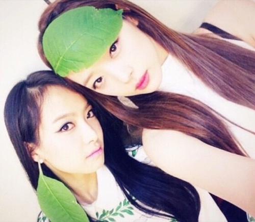 fxbot_victoria's tweet photo. @329sulli_bot 

ありがとう♡ https://t.co/qnu2LNLPbB