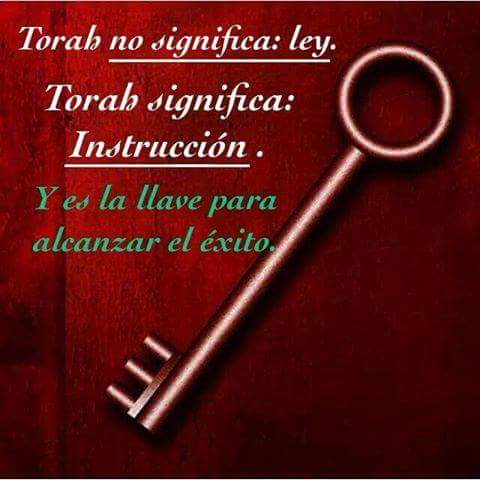 CynnyBozt's tweet photo. #Torah #Emet #Emunaj #instruccion #GozoYPaz #Verdad #Hallel #Simja #Vida #ElCaminoCorrecto #Ahava #Meditación #Tanaj https://t.co/xJfFQdVgQl