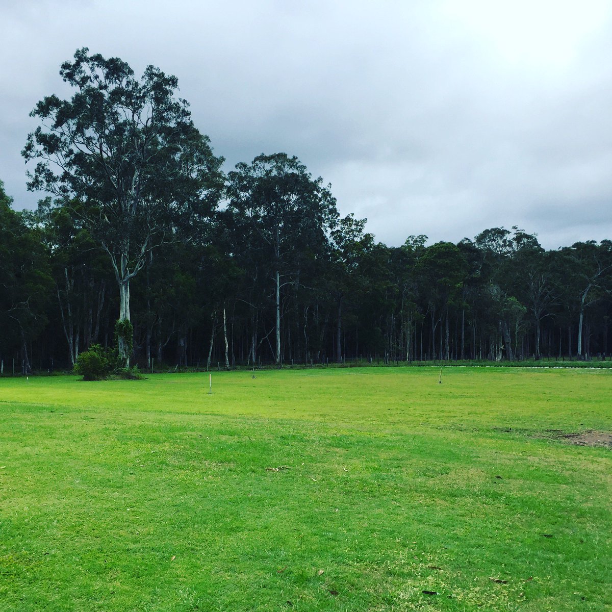 AliciaWanstallB's tweet image. Sometimes going on holiday ends up being a location scout for the books 
#BloodofHeirs #LegacyofGhosts  #amwriting