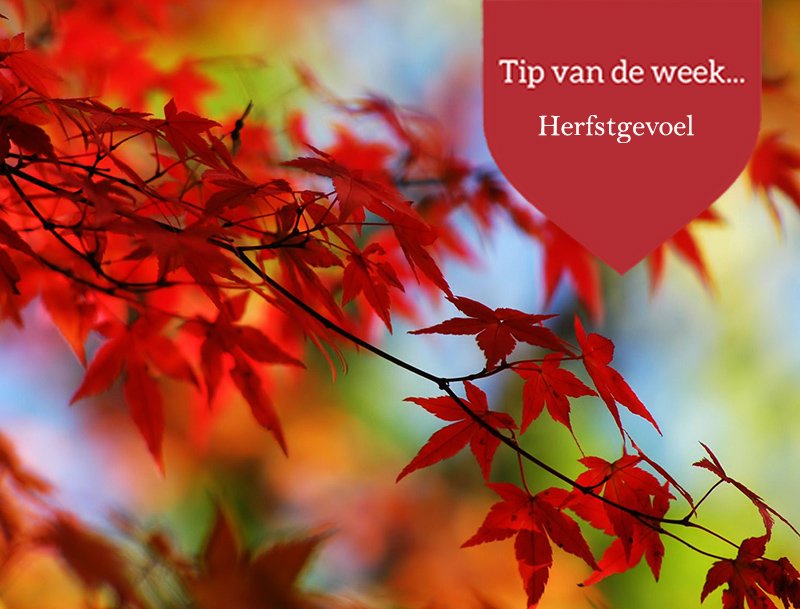 De dagen worden korter. We gaan weer van buiten naar binnen. Een Oosterse sfeer zorgt voor rust en spiritualiteit.