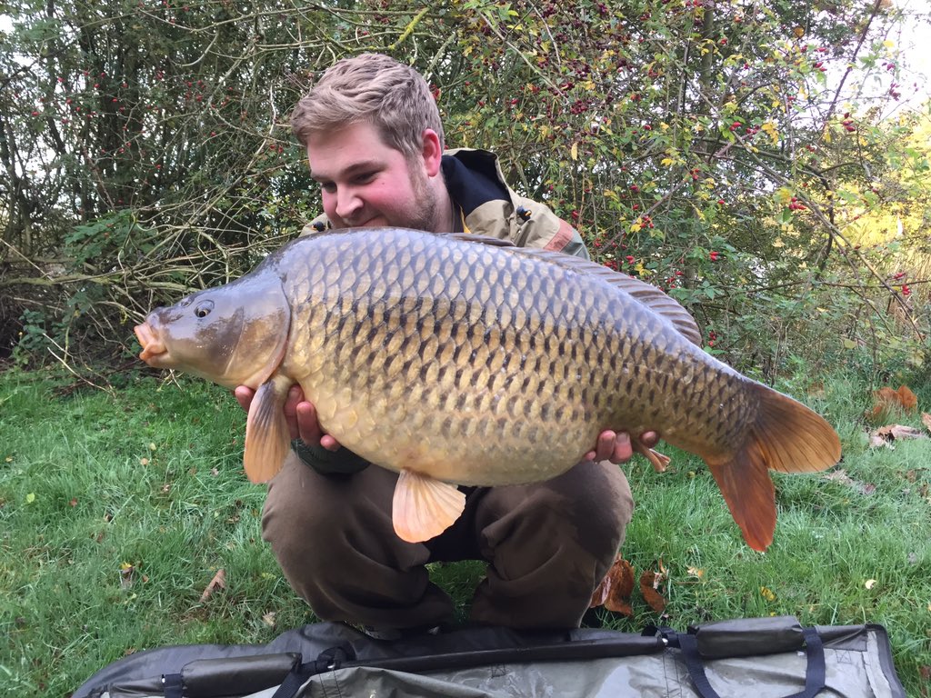 ryan_1704's tweet photo. First bite on the new bait, absolutely fizzing!!! @ccmoore_baits #deeppit #bundys 🎣🎣😁😁 https://t.co/BF7njPkymS