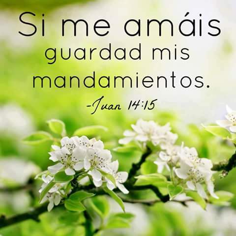 CynnyBozt's tweet photo. #SigueLaTorahDeYHWH y #Viviras #TorahEmet #Emet #GozoYPaz #Shalom https://t.co/YoL6k1HO5t