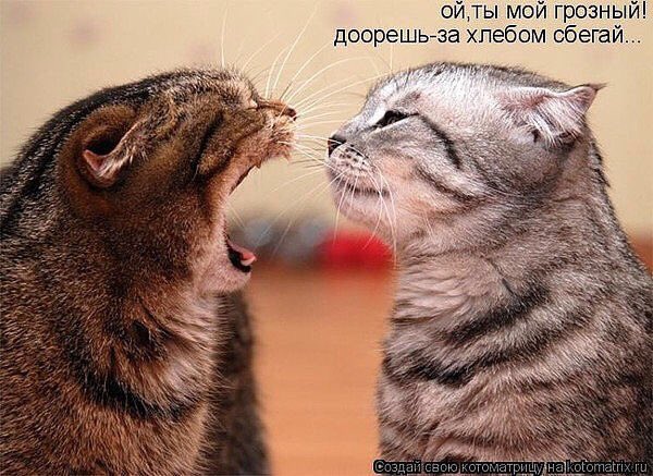 )))
