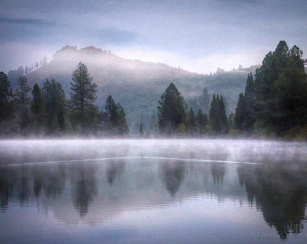 New artwork for sale! - "Early Morning Peace" - fineartamerica.com/featured/early… <a href="/fineartamerica/">Fine Art America</a>