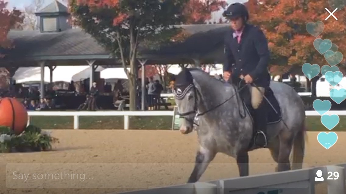 Watching LIVE on Periscope: Live from kyhorsepark OTTB Retired ...