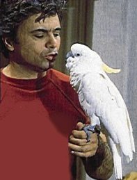 La cacatúa de #Baretta .
Nada , eso .