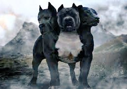 jackclick445 tweet picture