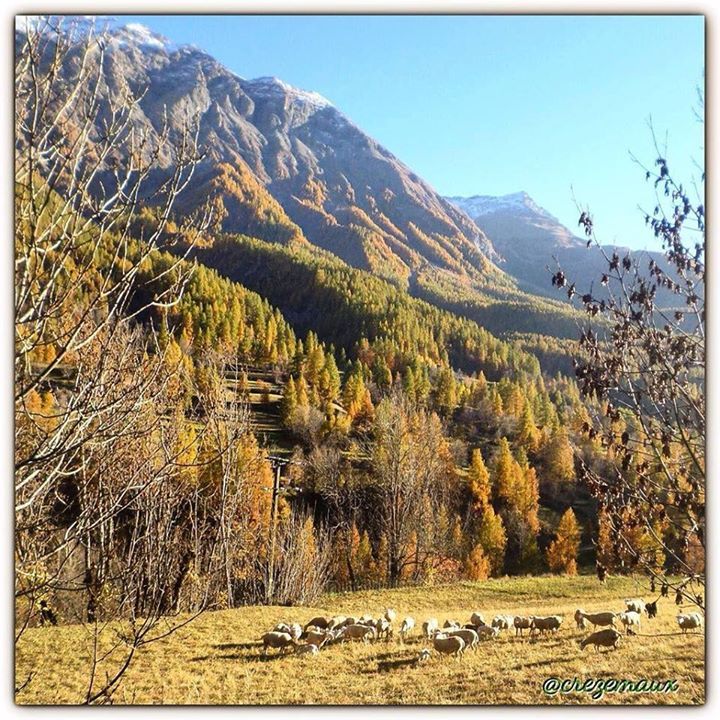 MontagneJadore's tweet photo. Un peu de mon paradis ... avant de repartir.... Bon dimanche à vous ❤️❤️ #orcieres #orcier… https://t.co/uFCUbLrShQ https://t.co/4TMgbruyVJ