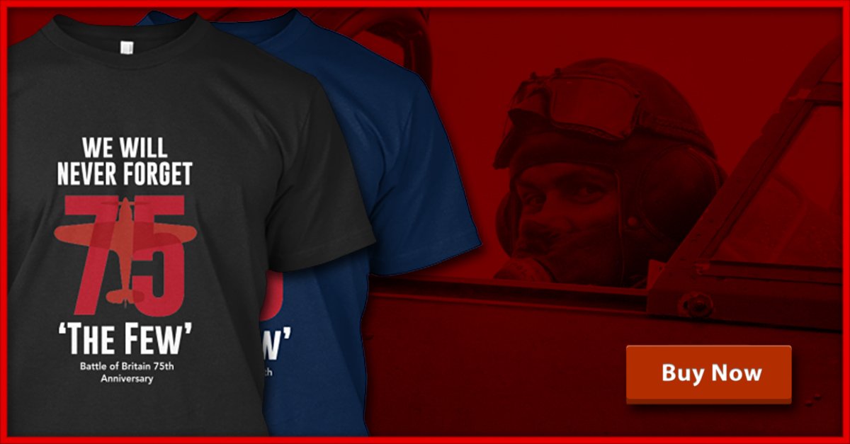 destinysagent's tweet image. Only a couple more days to snap up the We Will Never Forget t-shirt: 3dcu.be/wwnf75H #BoB75 #BattleofBritain