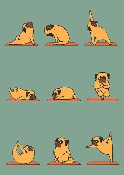 ColorYogaBogota's tweet photo. El yoga es una actividad deportiva ! 
Haz alguna vez intentado limpiar de manera activa tu organismo ?
#coloryoga https://t.co/YAwCGav2ch