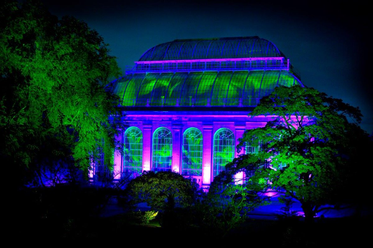 The_GuestRoom's tweet photo. @TheBotanics 'Botanic Lights 2015' is about to launch! We've got availability here at @The_GuestRoom (01315564798) https://t.co/lBGi8gUqX2