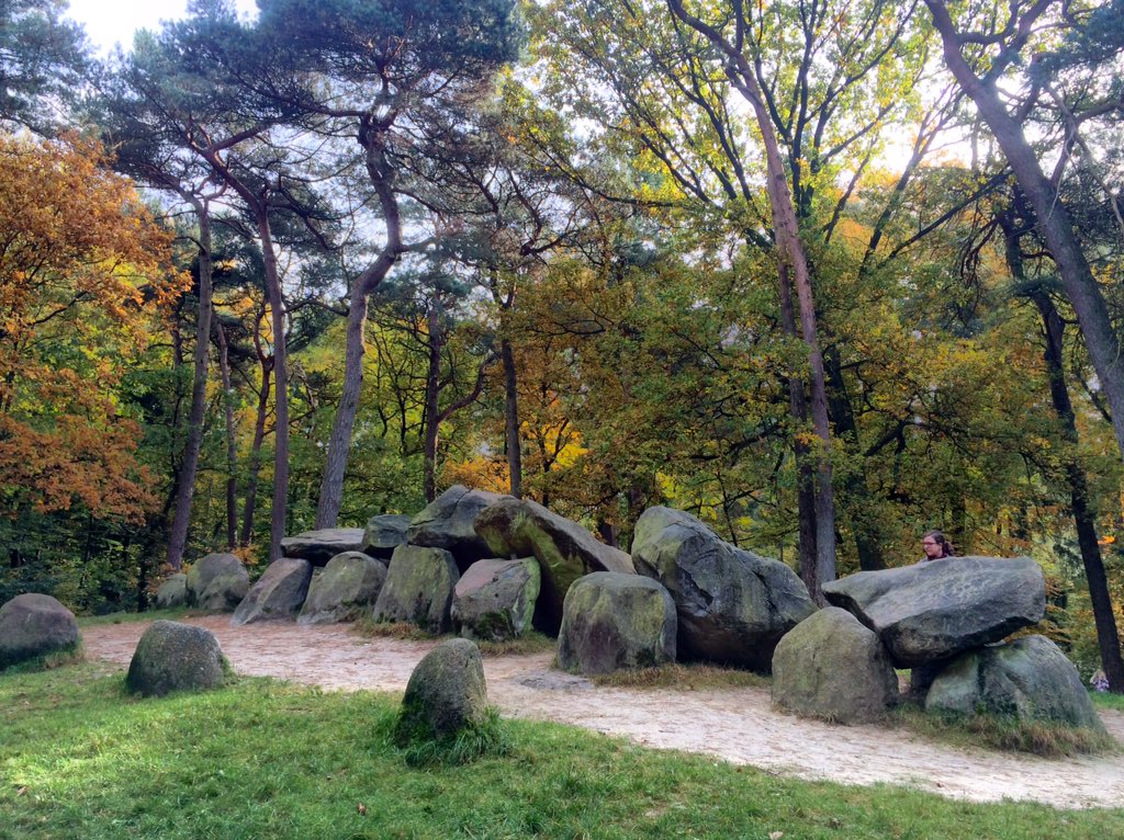 D45 ligt er weer mooi herfstig bij!