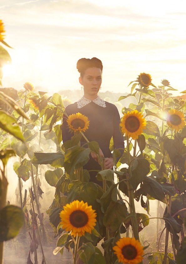 mandsminaj's tweet photo. Um dos photoshoots mais lindos que já vi 🌻🍃💘#HappyBirthdayKatyPerry https://t.co/SgjAilWQJ7