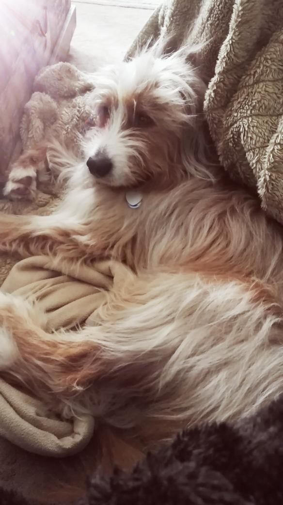 WorknTreat's tweet photo. Lazy sunday #justTreatNoWork https://t.co/gGKlO91iBc