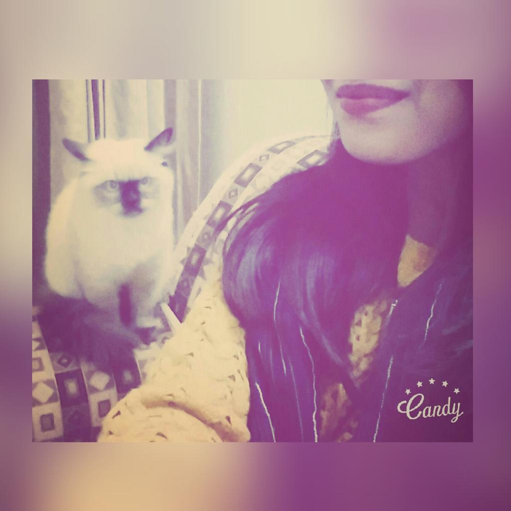 kainatmujahidkm's tweet photo. Her aggressive expression and my smile ...
#aggressivecat🐱 https://t.co/e8g4GHJTQM
