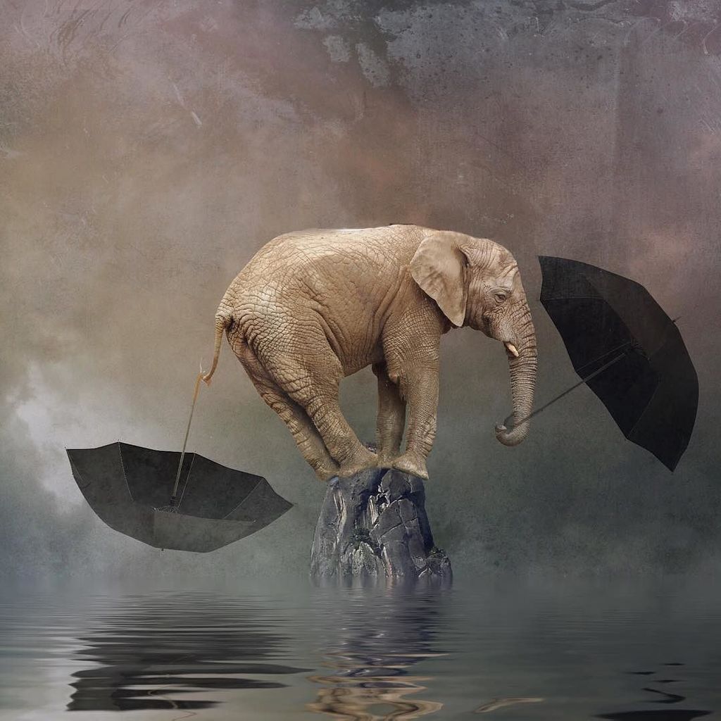 josiester's tweet photo. Balance #union_app #mextures #mectures_app #jj_mextures #rsa_ladies #rsa_graphics #rsa_mai… https://t.co/19cFLg2Yth https://t.co/IP6KxdQMzf