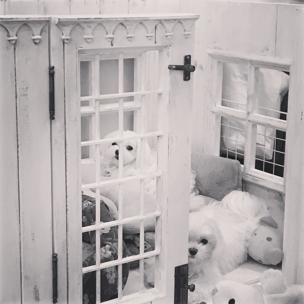お母さん手作りの犬小屋はまさかの居酒屋風 あまりの精巧さに驚く人々 Togetter お母さん手作りの犬小屋はまさかの居酒屋風 あまりの精巧さに驚く人々 Togetter