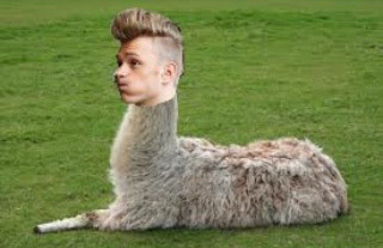 Tristan E (@thevampstristan) on Twitter photo 