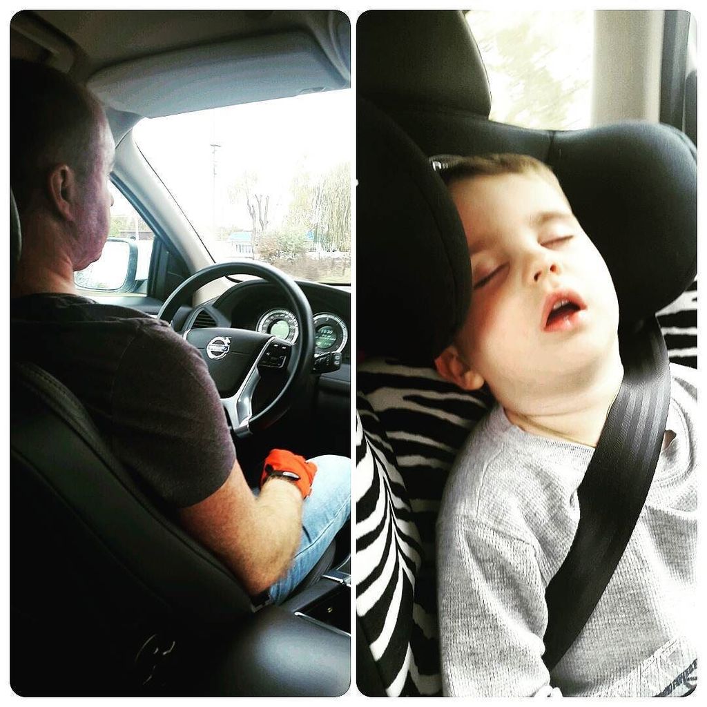 ck_insta's tweet image. Коли кожен займається своїм ділом #яїдудодому #україна #kyiv #ukraine #driving сфоткав maryshatirshu