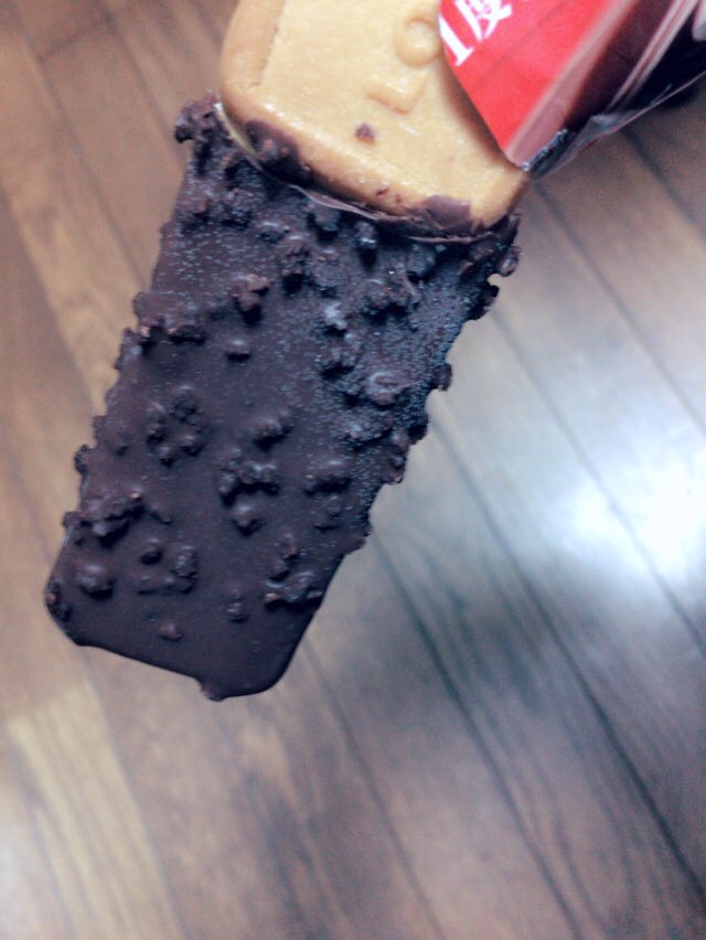 安定においひい(　˙༥˙　)♡