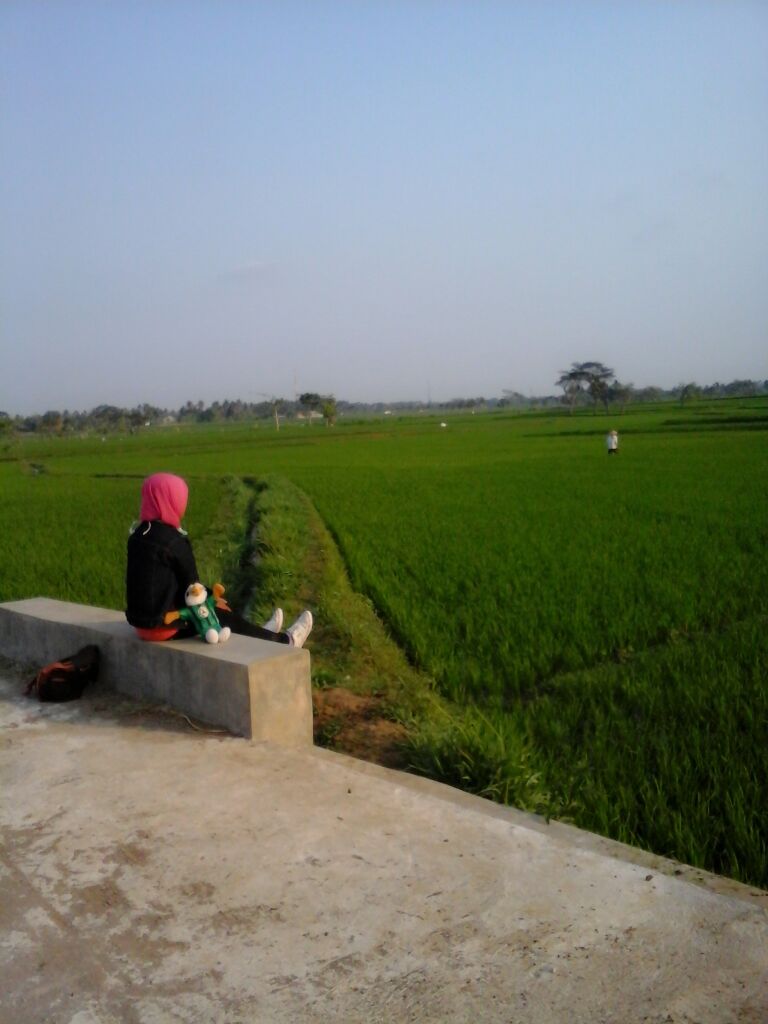 Jogja24Jam's tweet image. #Jogja @wahyuceptiana: masih ada calon nasi untuk esok hari :) #visitkulonprogo