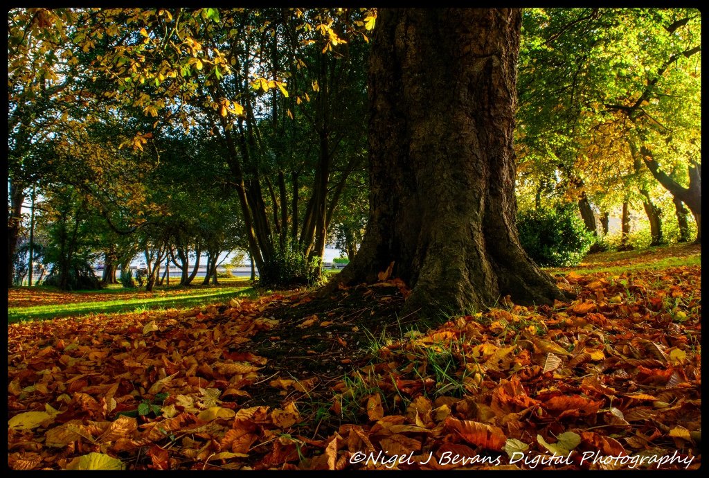 Autumnal Pembrokeshire - more on my website nigeljbevans.co.uk &amp; facebook.com/Nigeljbevansdi… #Pembrokeshire #Autumn
