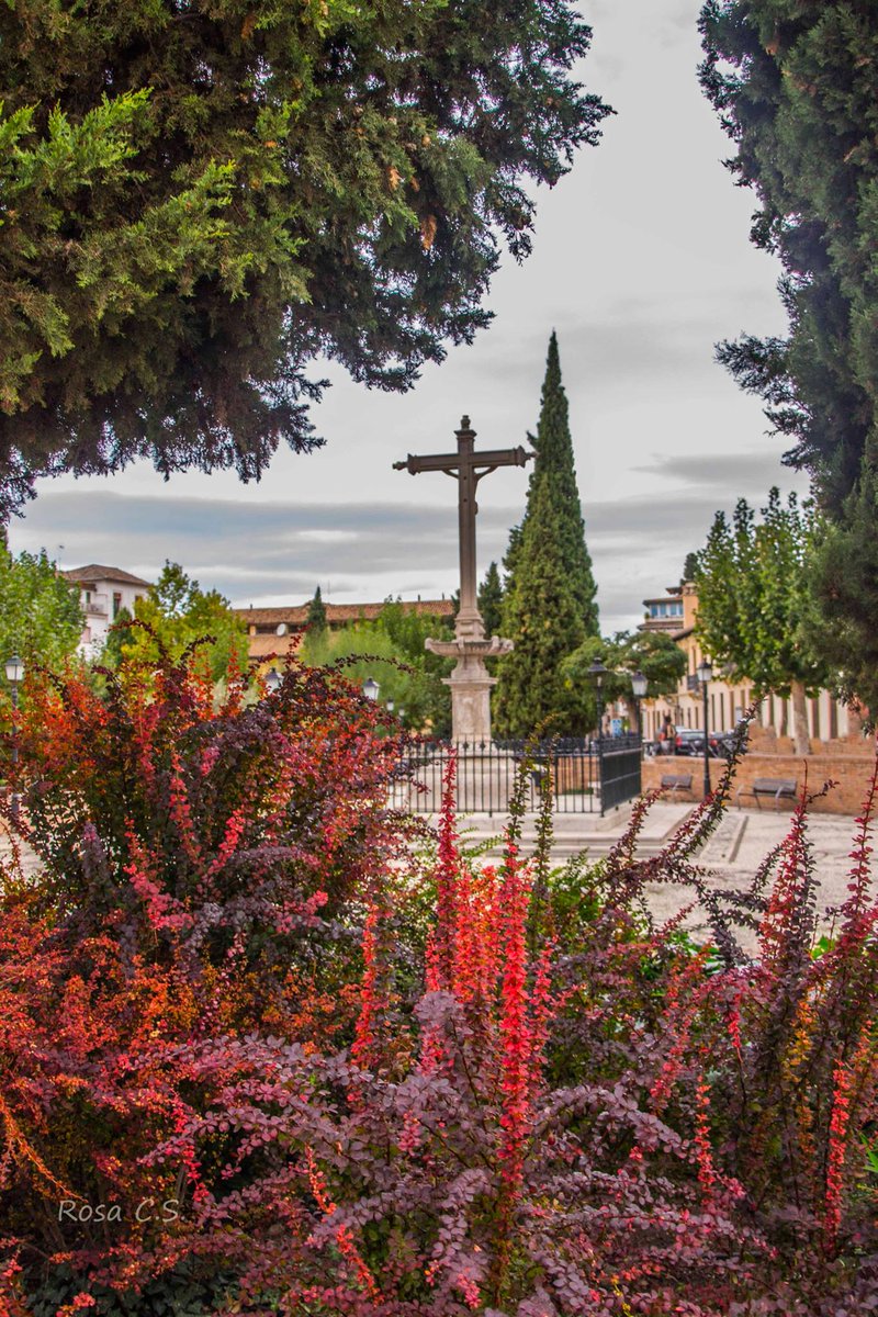 GRANADA tweet media