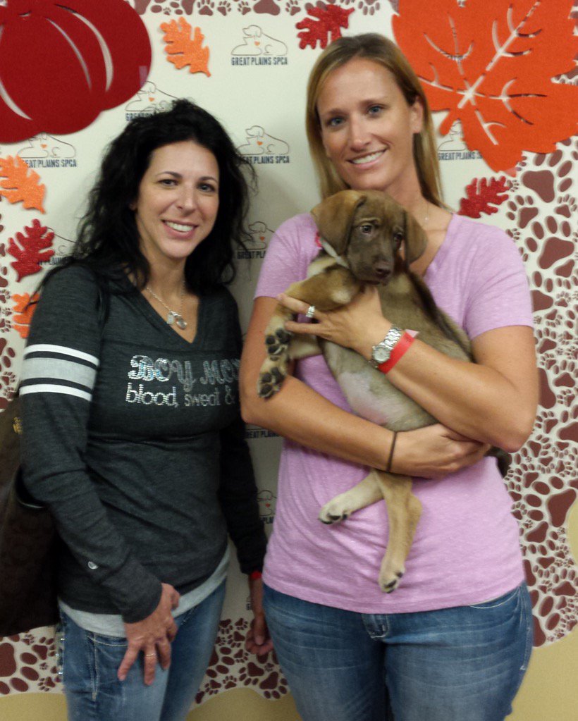 GreatPlainsSPCA's tweet photo. Today is the LAST DAY for $25 #adoptions at Great Plains SPCA, @WaysideWaifs, and @kcpetproject! #ASPCAMegaMatch https://t.co/9ZZma4oPab