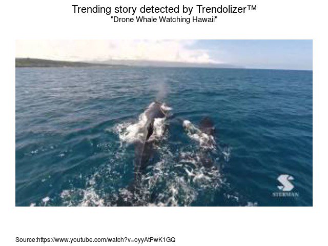 droneolizer's tweet photo. Drone Whale Watching #Hawaii #Sterman.eric808@gmail.com https://t.co/eWd9Pbu34P https://t.co/21EpR8JQTB