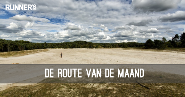 runnersworldnl's tweet photo. Tip voor volgend weekend: de Brunssummerheide! #hardloop https://t.co/8tyzsTwQFy https://t.co/2W8nnsrVTC