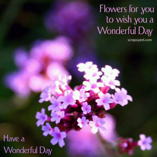 Good morning have a wonderful day. Good morning and wonderful day. Have a wonderful day. Wonderful this has sent. Wonderful this has sent.