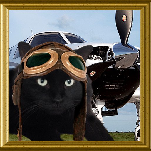 3DogsWhite's tweet photo. RT @theaviatorsclub *NEW MEMBER ALERT* - Welcome Boo @Boo_Panfur brand new to #TheAviators https://t.co/HgYHGINk8Y