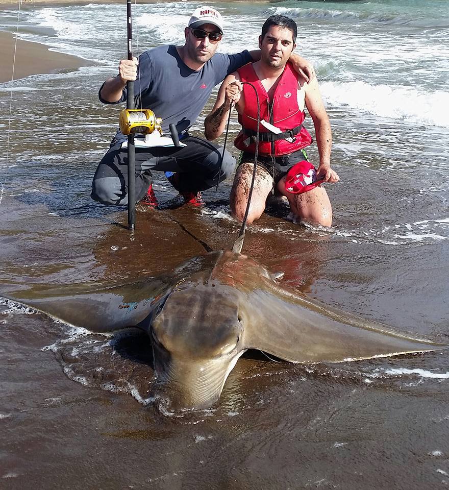 FishSession tweet picture