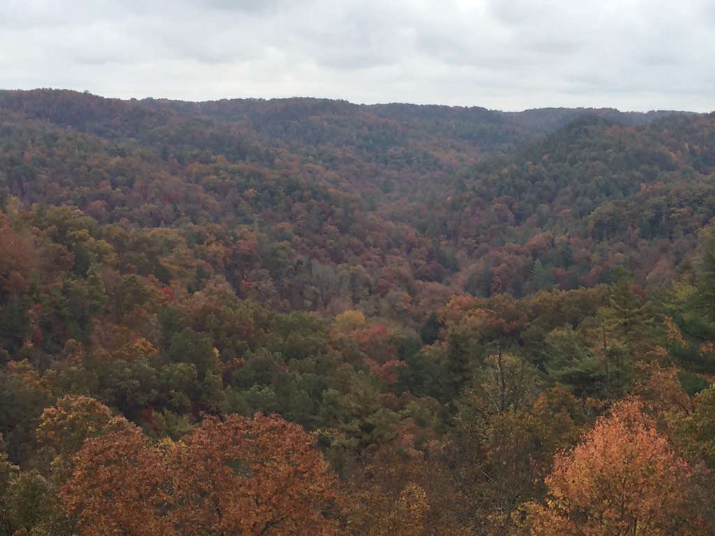 npennington73's tweet photo. Beautiful fall colors in Central Kentucky's Red River Gorge #fallinky https://t.co/lKceCThSEx