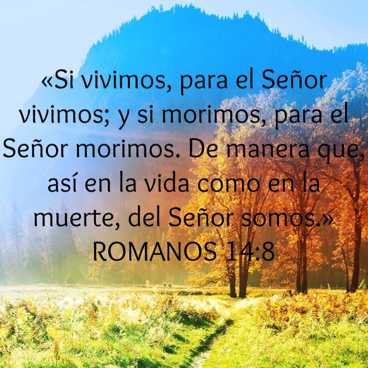 nelmarys28's tweet photo. Porque todo es por Ti y para Ti... De Ti vengo y a Ti voy... 🍃 https://t.co/YFeCeV6nt1