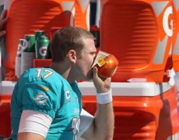 DolphinNation's tweet photo. Ryan Tannehill's first-half stats: 
• 12 for 12 passing
• 231 yards
• 4 touchdowns  
• 153.8 passer rating. https://t.co/5bmDn9xbnq