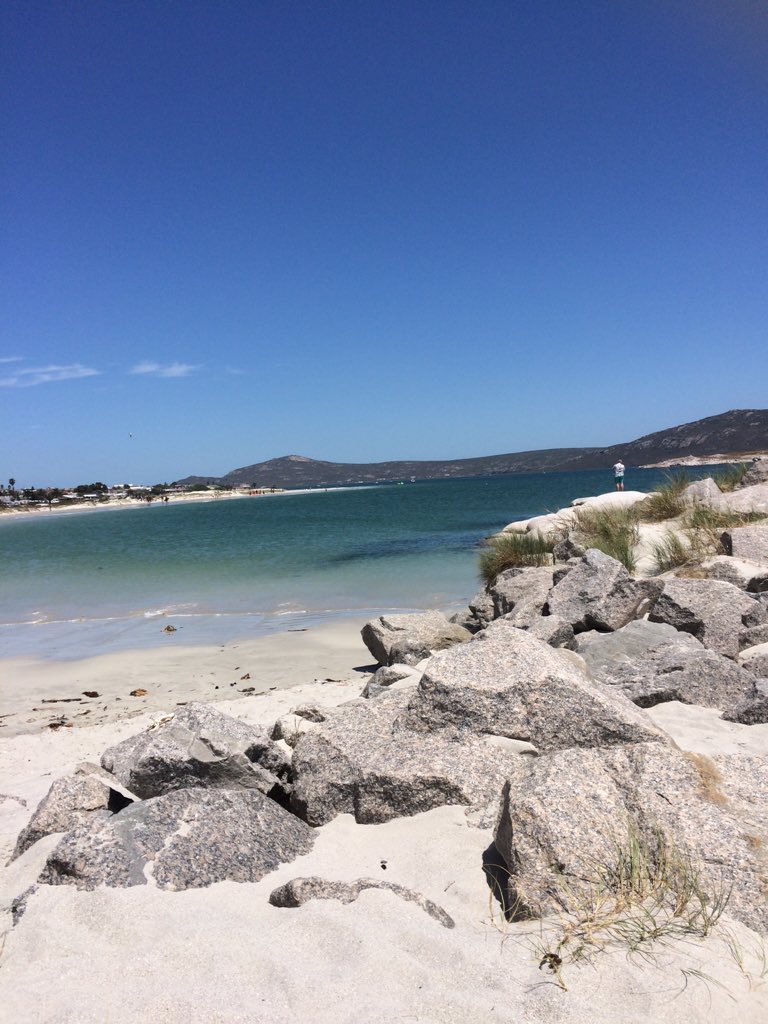 venuesinafrica's tweet photo. Nothing like a walk on the beach #Langabaan #WestCoast https://t.co/dDlWJQcued