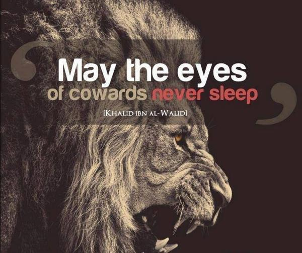 TNMN123's tweet photo. . #KittySays https://t.co/2HIRxL3eV4
