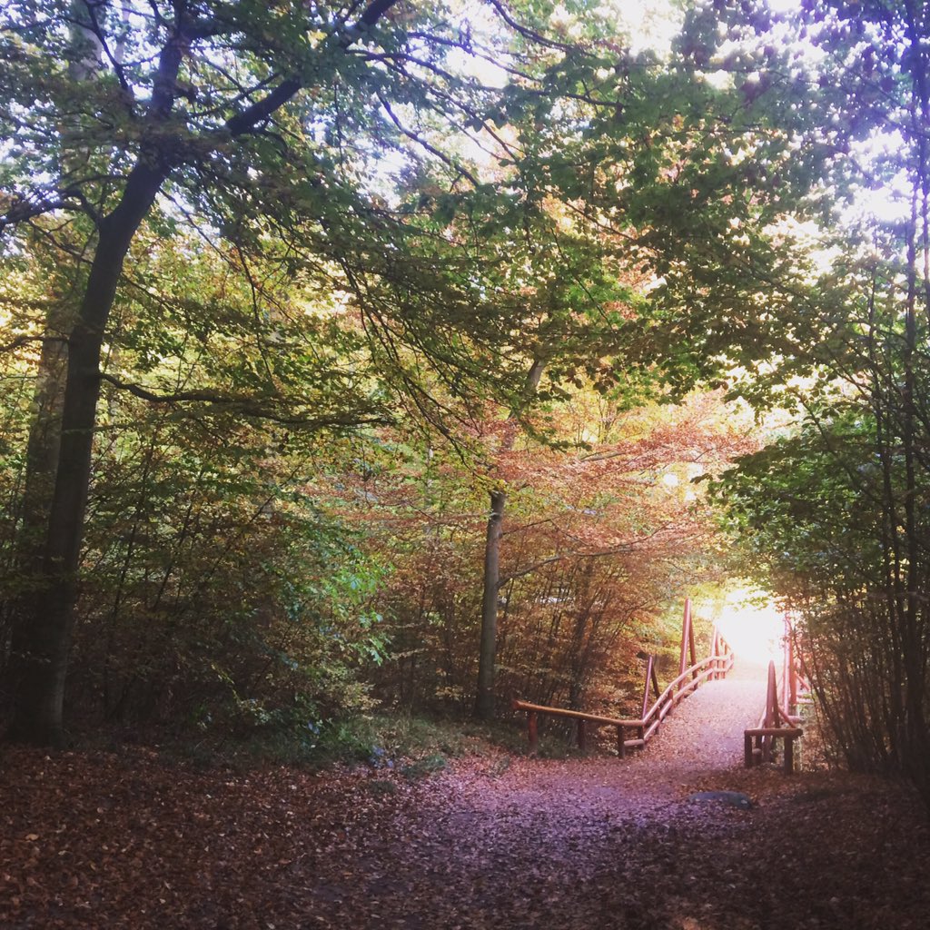ScandinavianStu's tweet photo. Follow us on instagram @scandinavianstudy #autumn #studentlife #studyindenmark https://t.co/i8f4o79PMX
