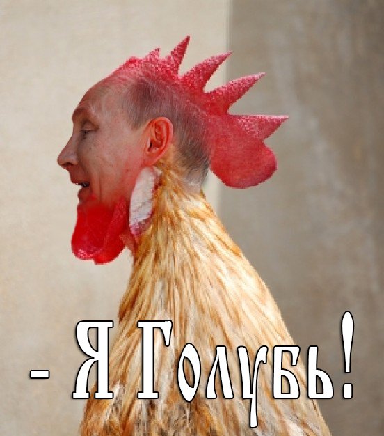 Попытка №2: с российского космодрома "Восточный" все-таки запустили ракету "Союз-2.1а" - Цензор.НЕТ 5178