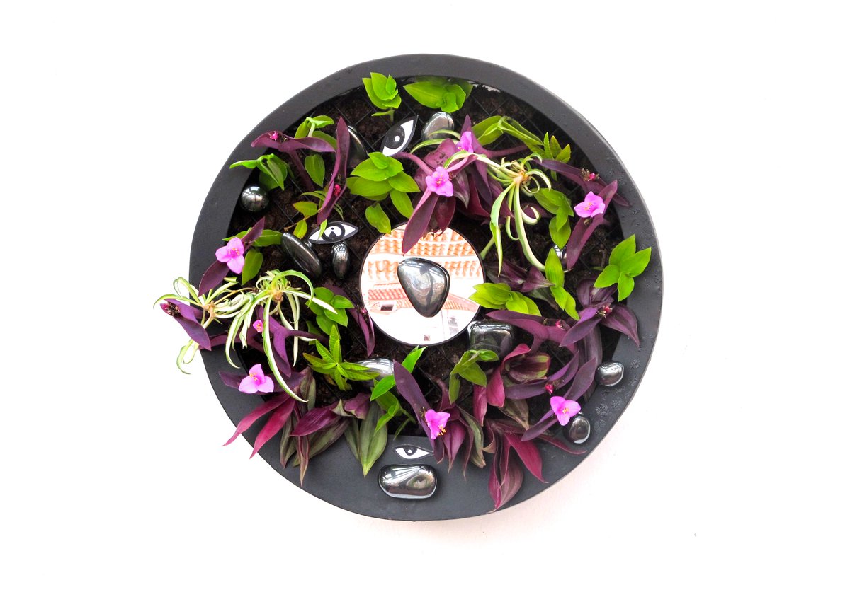 Honevo's tweet image. CUADROS BIONICOS #CIRCULAR #CUADROSBIONICOS #BIONICART #HONEVO