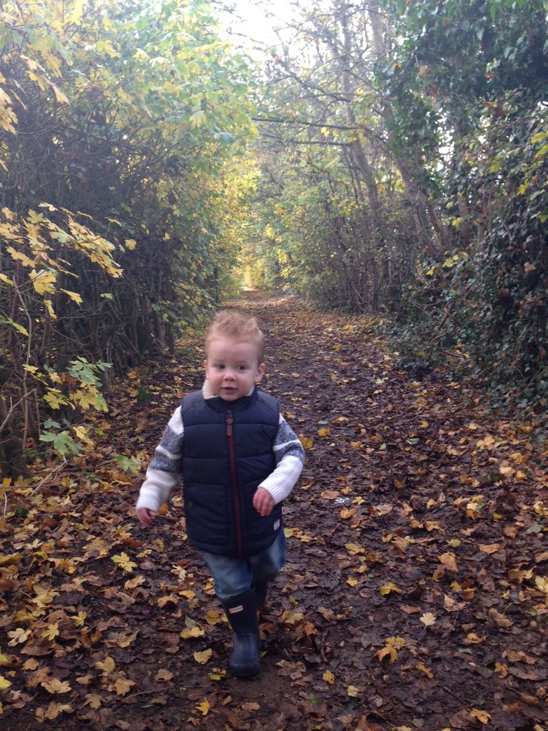 Mark Alder tweet media