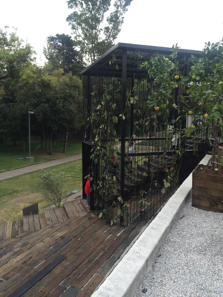 Aprovecha el domingo y visita el <a href="/museotamayo/">@MuseoTamayo</a> donde encontrarás <a href="/territoriomx/">Territorio Creativo</a> y el Proyecto Tamayo #DWM15