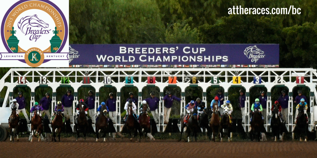 AtTheRaces's tweet photo. The exclusive ATR #BC15 microsite is now live. The best is yet to come >> https://t.co/BNmoLU56gy https://t.co/YFT3yQisC5